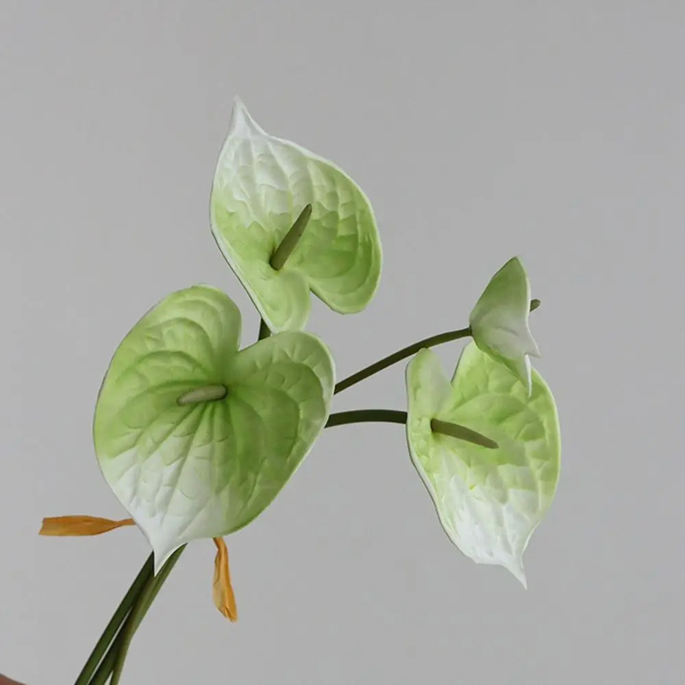 Delta Force Flower – Taktisch inspiriertes Blumendekor